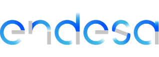 Endesa Servicios y Endesa Energía